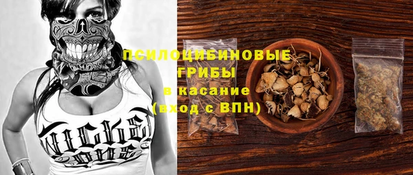 spice Алексеевка
