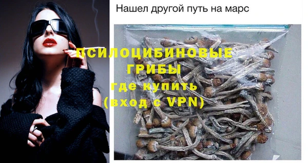 ешки Алексин