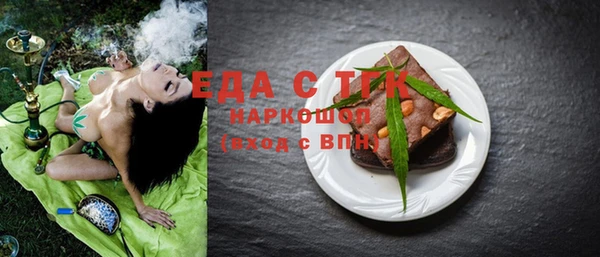 индика Гусев