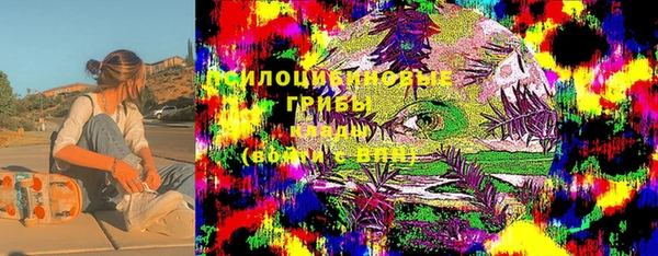 ешки Алексин
